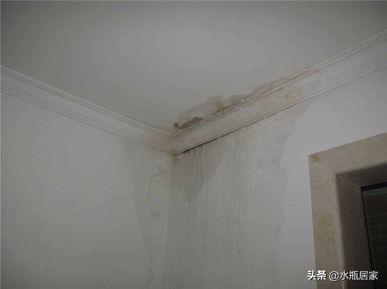 專(zhuān)業(yè)防漏水處理(衛(wèi)生間滲漏最徹底處理方法)